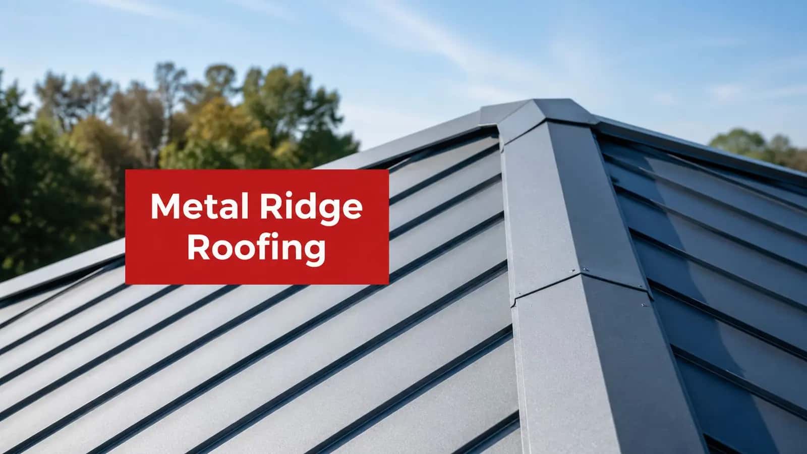 Metal Ridge Roofing: Guide to Types & Costs 2026 featured image
