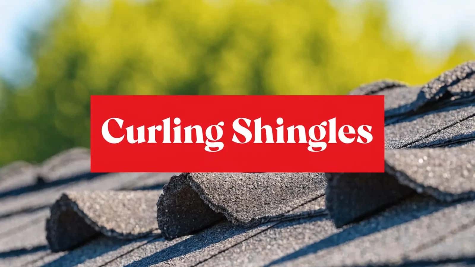 What Causes Roof Shingles to Curl? Texas Solutions featured image