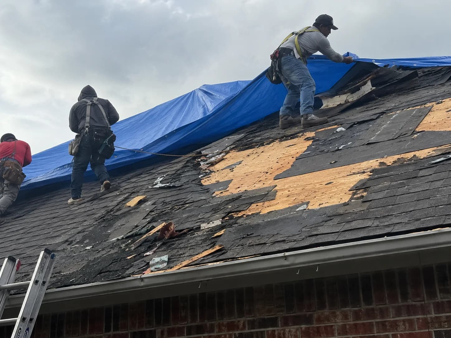 Roofing crew spreading a blue tarp across exposed decking
