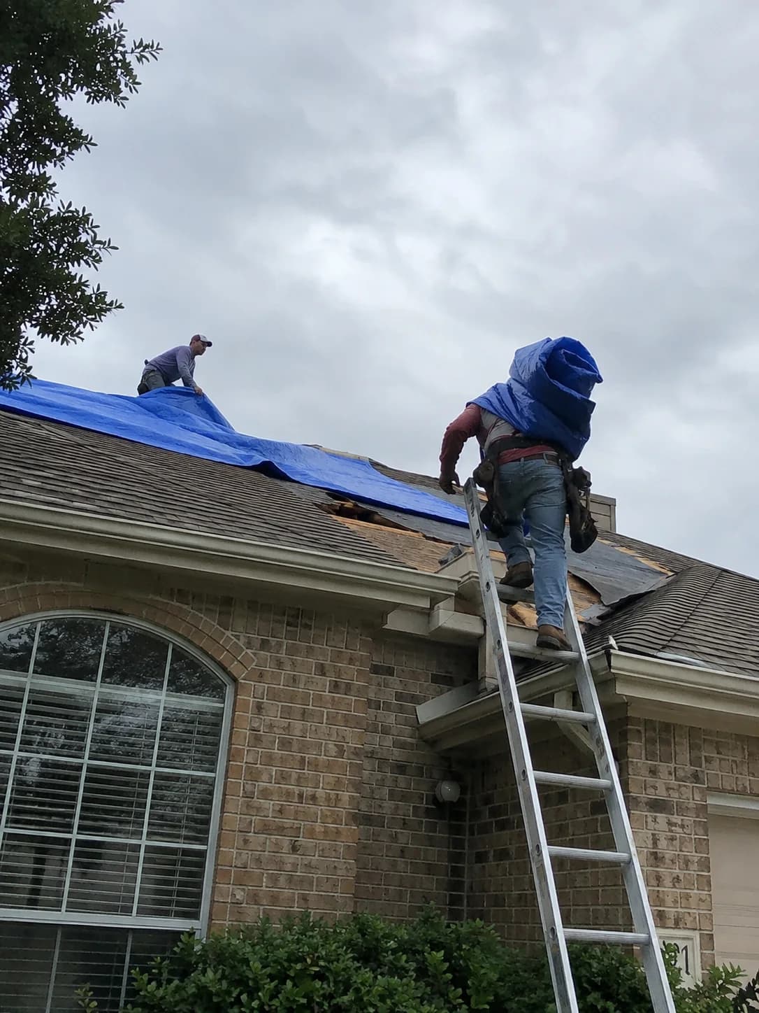 Crew carrying and positioning a blue roof tarp