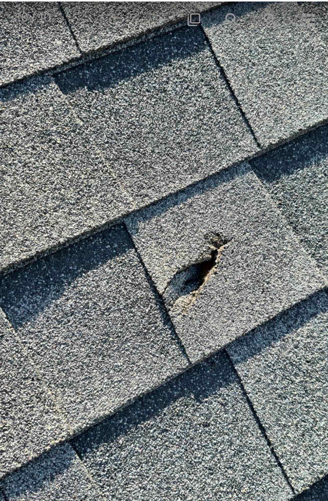 Puncture damage in asphalt shingles documented with John Ross's roof repair review