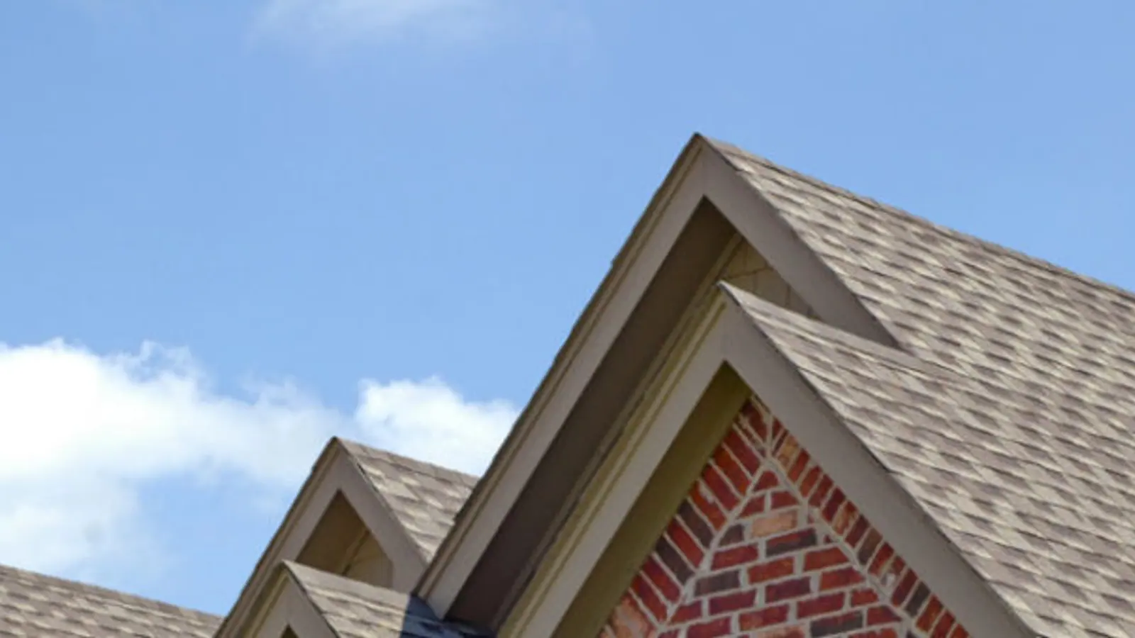 Professional Roofing Service Provider