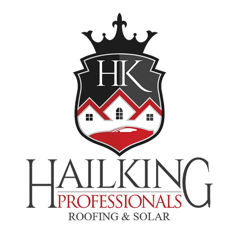 1x1 Hailking