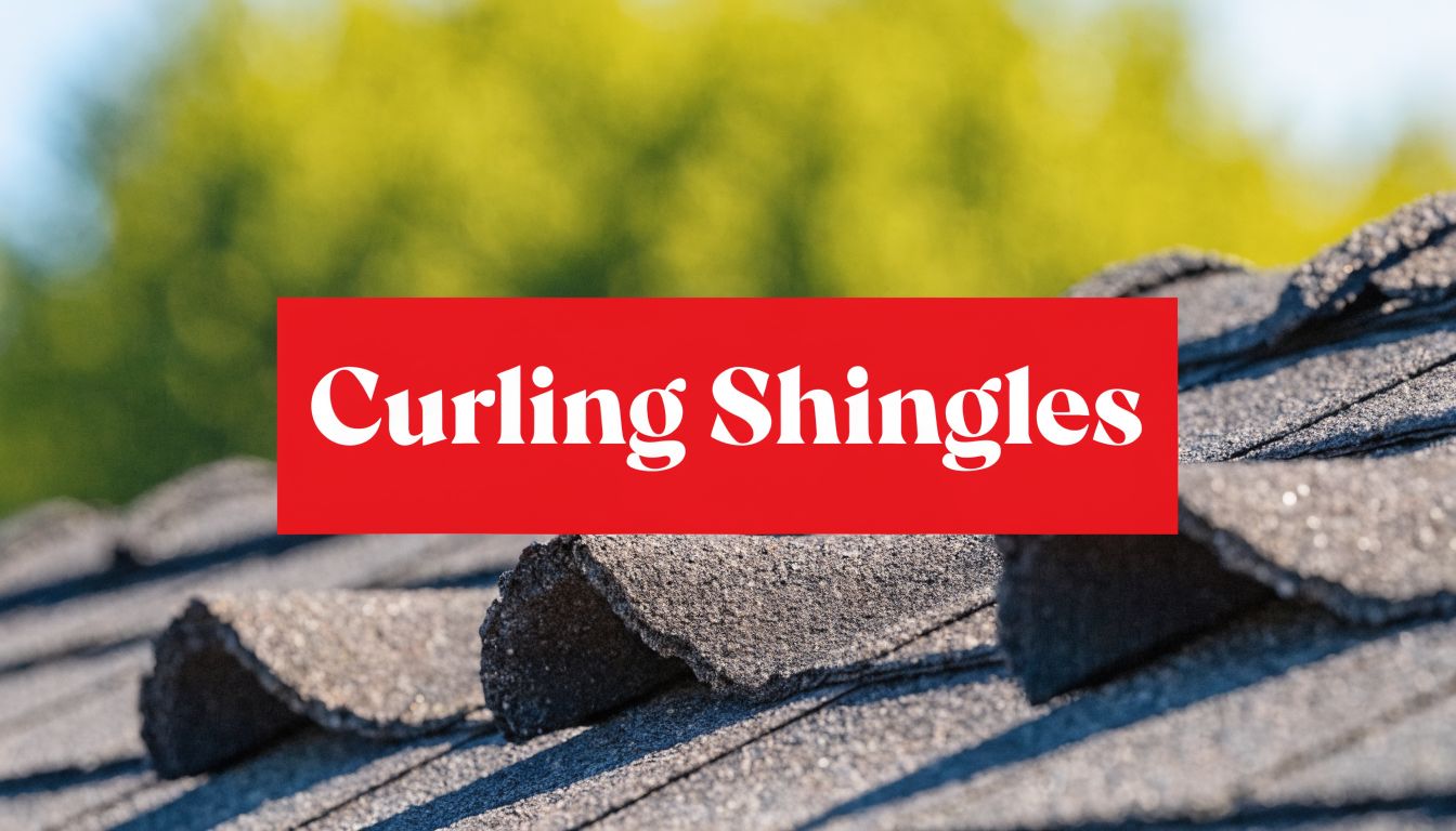Read more about the article What Causes Roof Shingles to Curl? Texas Solutions